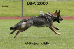 LGA Geislingen 2007